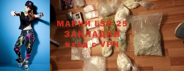 индика Балахна