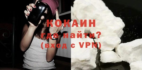 индика Балахна