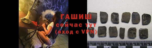 индика Балахна