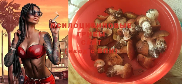 винт Баксан