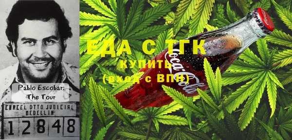 индика Балахна