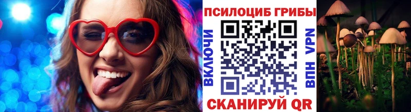 магазин продажи наркотиков  Рассказово  Псилоцибиновые грибы Cubensis 
